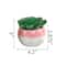 Flora Bunda® Succulent In Two Tone Lines Pattern Pink Ceramic Pot